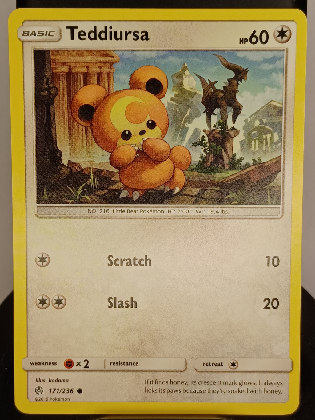 Teddiursa #171/236 SM - Cosmic Eclipse