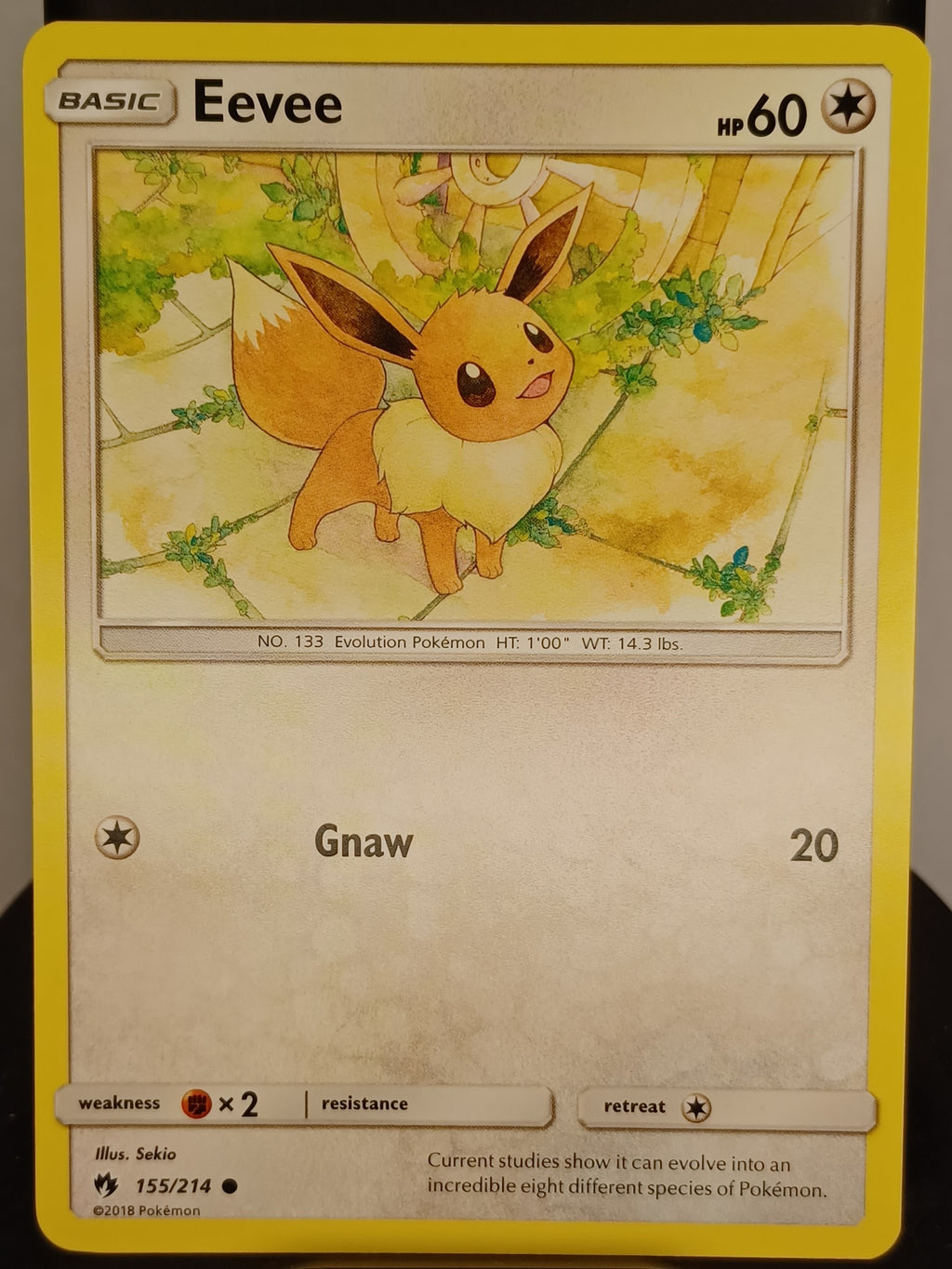 Eevee #155/214 SM - Lost Thunder