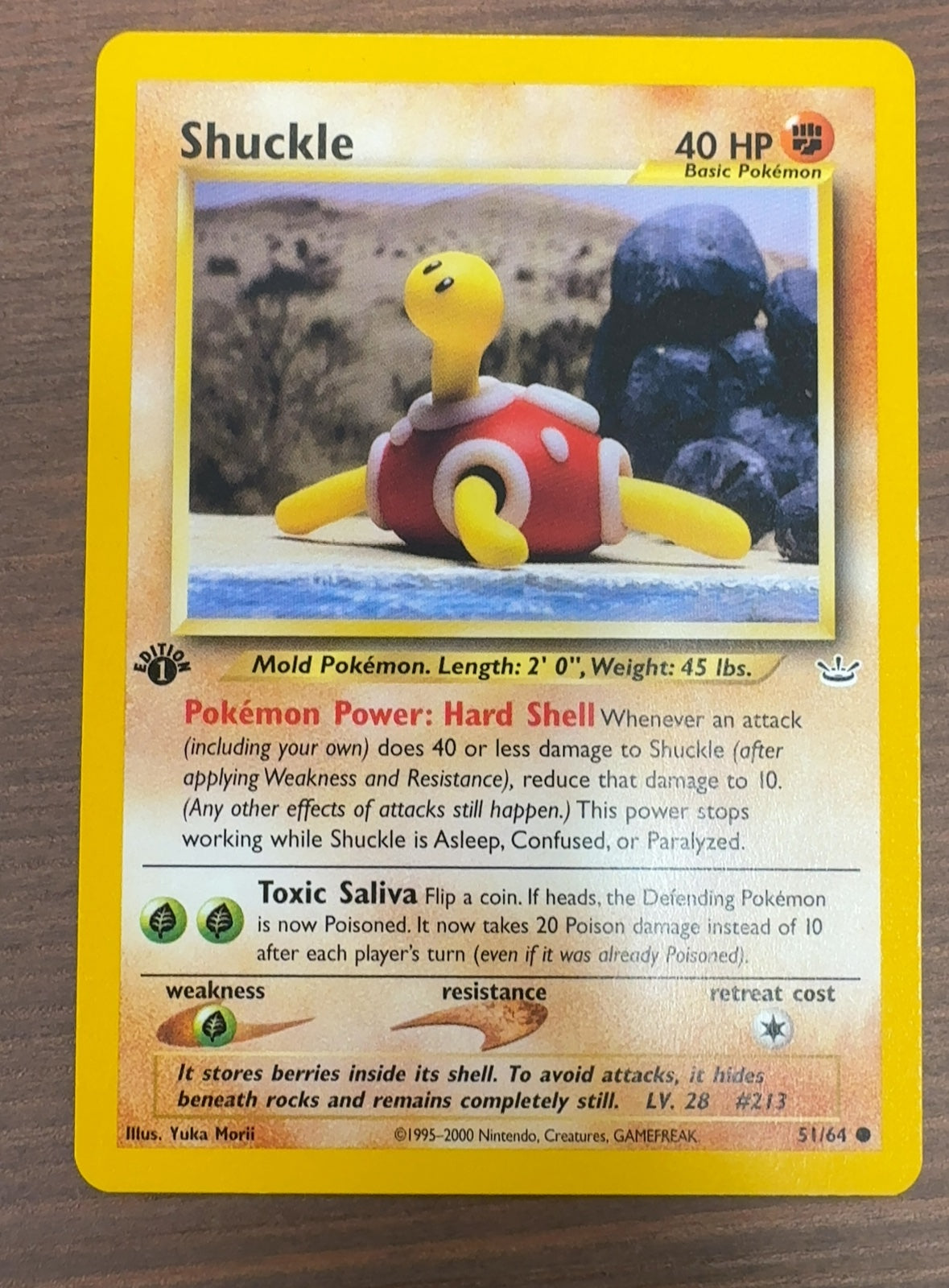 Shuckle | Near Mint / English / 1st Edition