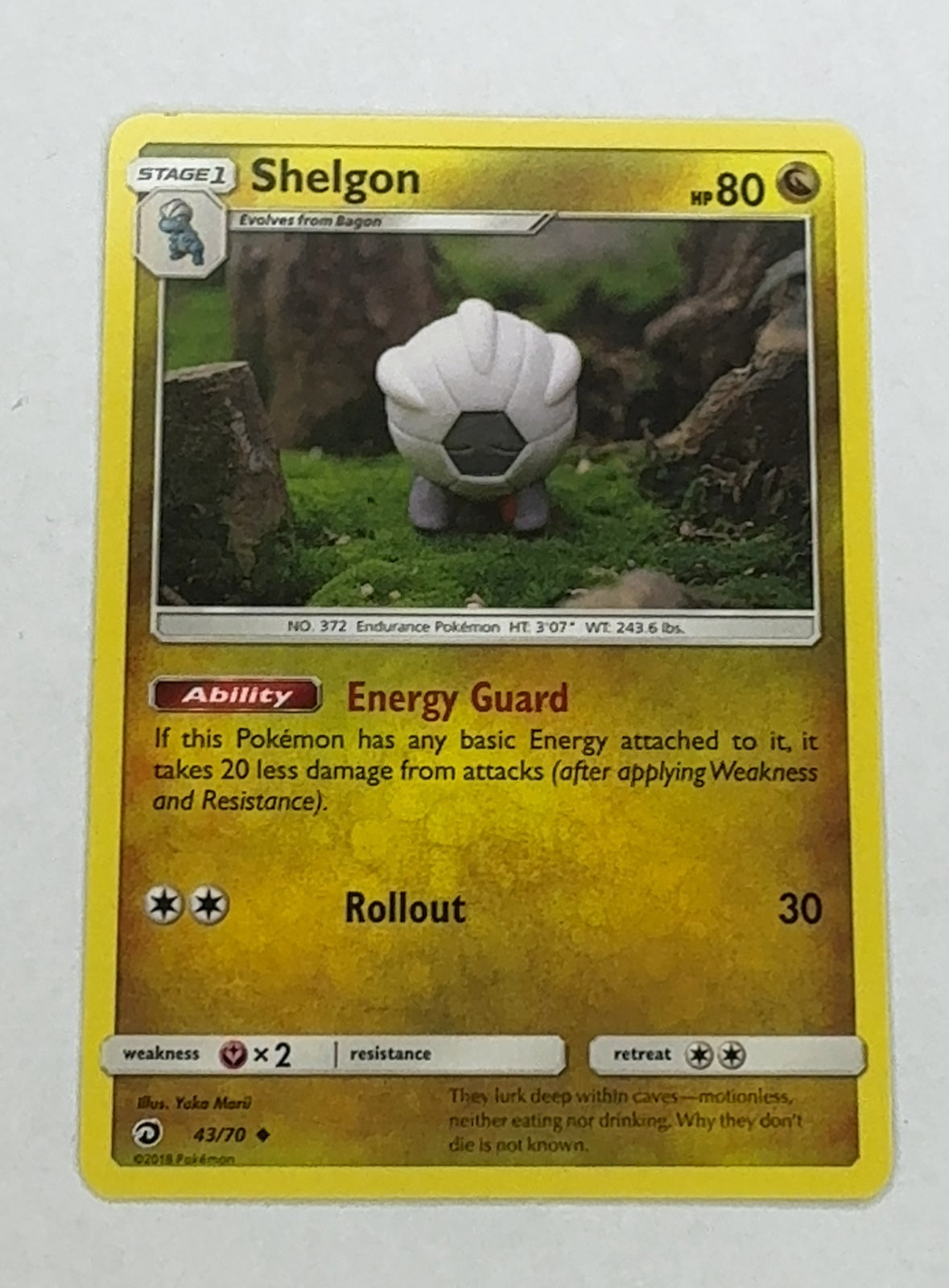 Shelgon