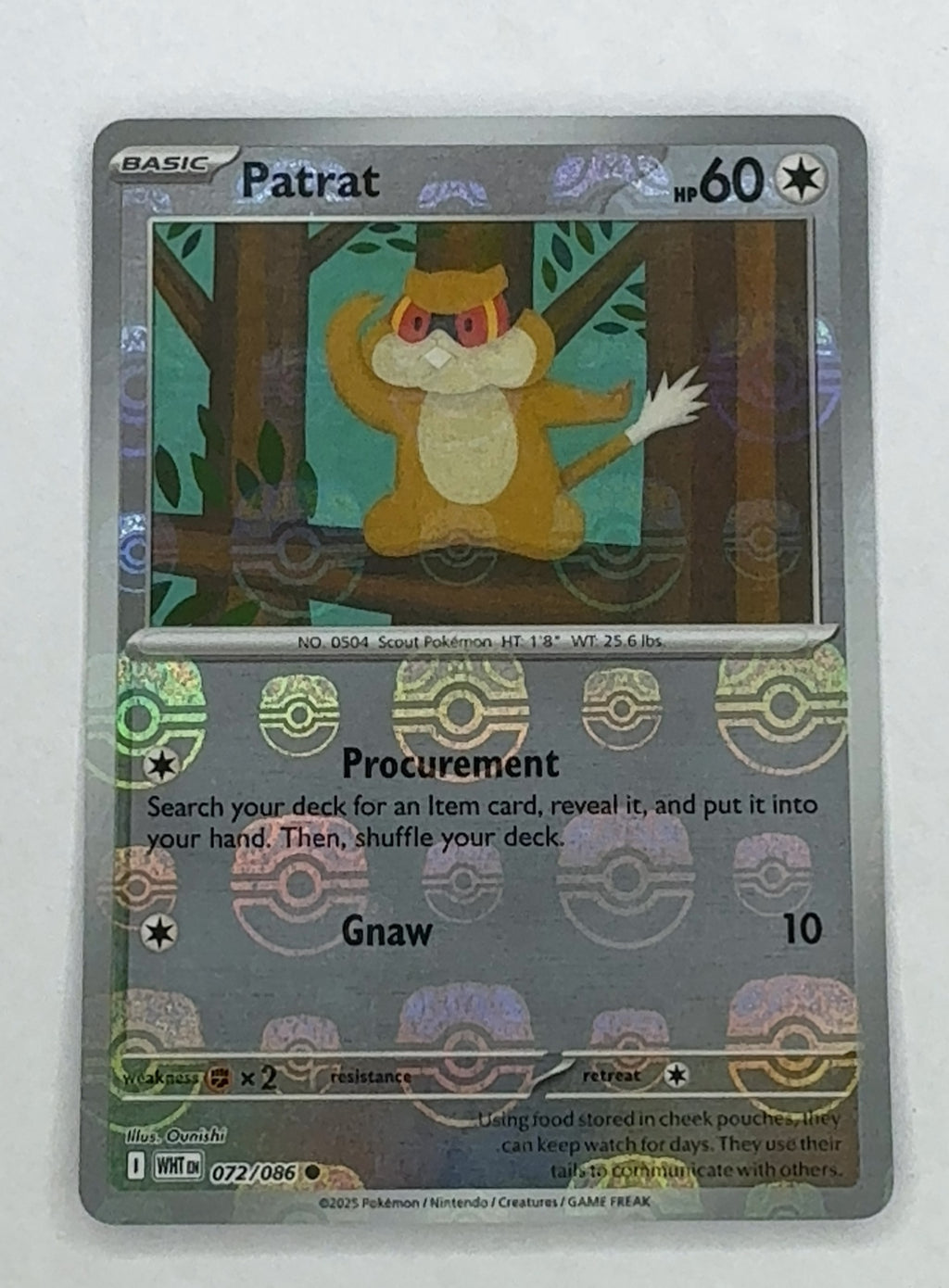 Patrat (Master Ball Pattern) | Near Mint / English / Holofoil