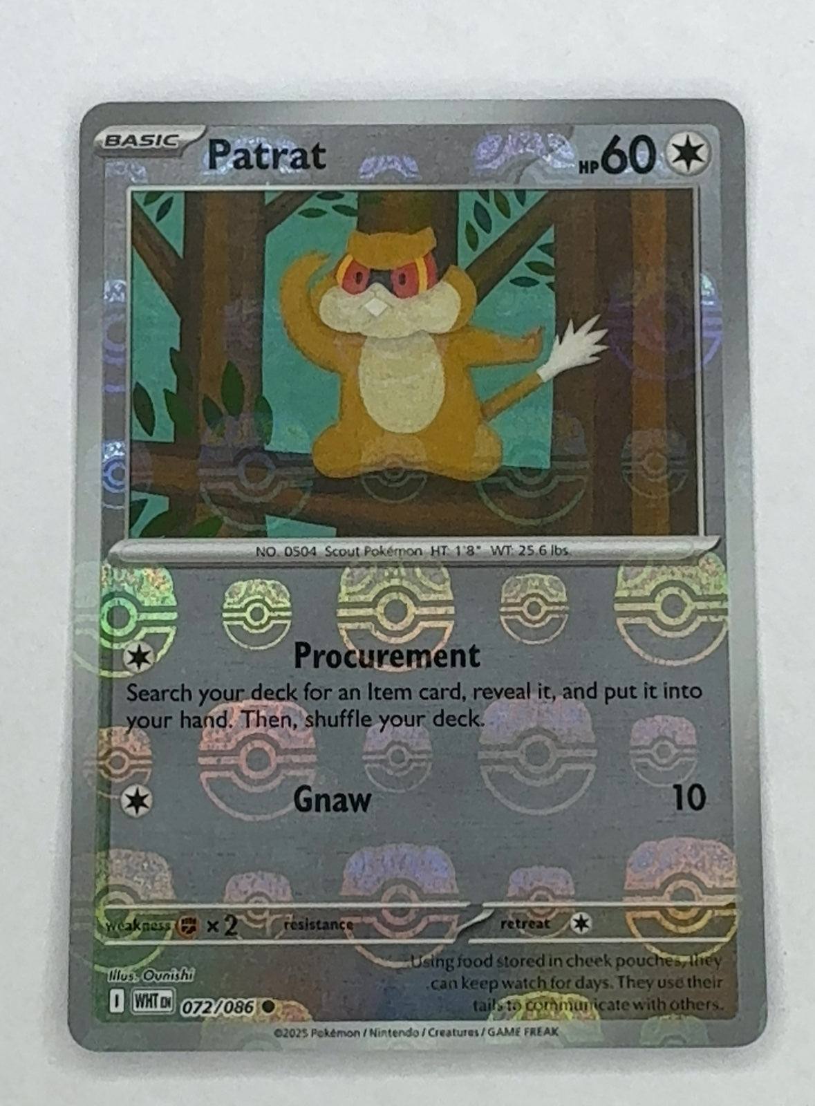 Patrat (Master Ball Pattern) | Near Mint / English / Holofoil